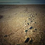 Wiron Aan Het Wad. Кемпинг Westerland