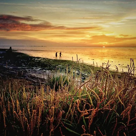 Wiron Aan Het Wad.