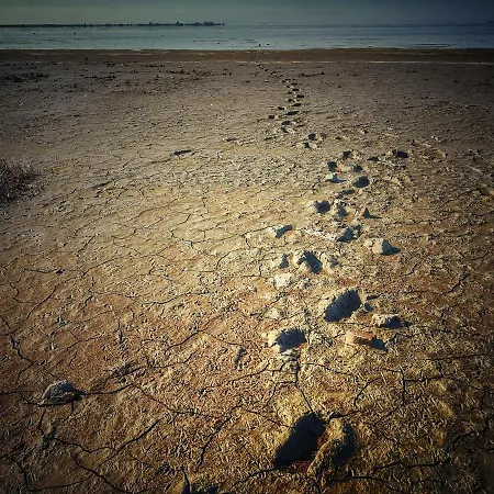 Wiron Aan Het Wad. Camping Westerland