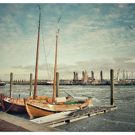 Wiron Aan Het Wad. Campsite *