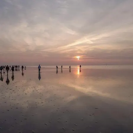 Camping Wiron Aan Het Wad. *