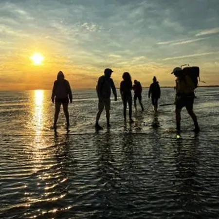 Campsite Wiron Aan Het Wad. *
