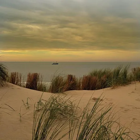 Campsite Wiron Aan Het Wad.