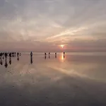 Camping Wiron Aan Het Wad. *