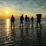 Camping Wiron Aan Het Wad. *
